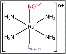 Graphical abstract: Tracking the role of trans-ligands in ruthenium–NO bond lability: computational insight