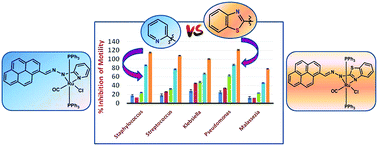 Graphical abstract: Ruthenocycles of benzothiazolyl and pyridyl hydrazones with ancillary PAHs: synthesis, structure, electrochemistry and antimicrobial activity