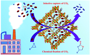 Graphical abstract: Construction of 3D lanthanide based MOFs with pores decorated with basic imidazole groups for selective capture and chemical fixation of CO2