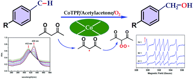 Graphical abstract: Acetylacetone as an oxygen activator to improve efficiency for aerobic oxidation of toluene and its derivatives by using cobalt meso-tetraphenylporphyrin