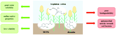 Graphical abstract: Transformation of herbicides into dual function quaternary tropinium salts