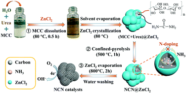 Graphical abstract: A cellulose dissolution and encapsulation strategy to prepare carbon nanospheres with ultra-small size and high nitrogen content for the oxygen reduction reaction
