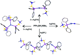 Graphical abstract: A new family of silver(i) complexes stabilised by the phosphanylborane (C6H5)2PBH2·N(CH3)3