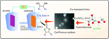 Graphical abstract: Biomass-derived Cu/porous carbon for the electrocatalytic synthesis of cyclic carbonates from CO2 and diols under mild conditions