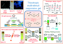 Graphical abstract: Diaminomaleonitrile-functionalized gelators in F−/CN− sensing, phase-selective gelation, oil spill recovery and dye removal from water