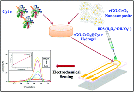 Graphical abstract: Self-assembled reduced graphene oxide–cerium oxide nanocomposite@cytochrome c hydrogel as a solid electrochemical reactive oxygen species detection platform
