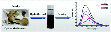 Graphical abstract: A fluorescent sensor based on oyster mushroom-carbon dots for sensing nitroarenes in aqueous solutions
