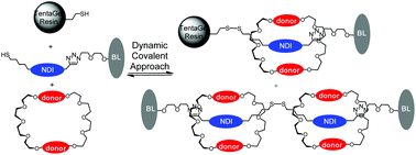 Graphical abstract: Dynamic covalent synthesis of [2]- and [3]rotaxanes both in solution and on solid supports