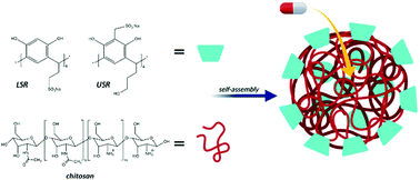 Graphical abstract: Supramolecular assembly of calix[4]resorcinarenes and chitosan for the design of drug nanocontainers with selective effects on diseased cells