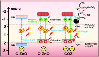 Graphical abstract: Oxygen-defective ZnO porous nanosheets modified by carbon dots to improve their visible-light photocatalytic activity and gain mechanistic insight