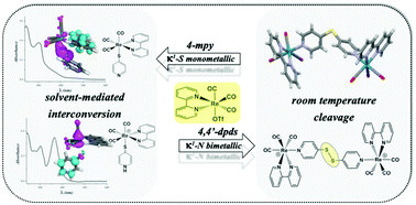 Graphical abstract: Synthesis of mono/dinuclear rhenium(i) tricarbonyl substituted with 4-mercaptopyridine related ligands: spectral and theoretical evidence of thiolate/thione interconversion