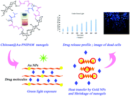 Graphical abstract: Magnetic and light-responsive nanogels based on chitosan functionalized with Au nanoparticles and poly(N-isopropylacrylamide) as a remotely triggered drug carrier