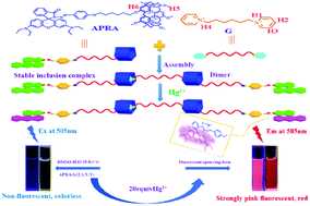 Graphical abstract: A novel pillar[5]arene-based emission enhanced supramolecular sensor for dual-channel selective detection and separation of Hg2+