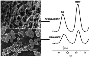 Graphical abstract: Simultaneous quantification of acetaminophen and tryptophan using a composite graphene foam/Zr-MOF film modified electrode