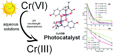 Graphical abstract: Photochemical reduction of Cr(vi) compounds by amino acid Schiff base copper complexes with a hydroxyl group and titanium oxide composites in aqueous solutions