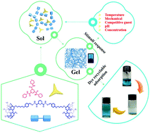 Graphical abstract: Stimuli-responsive supramolecular polymer network based on bi-pillar[5]arene for efficient adsorption of multiple organic dye contaminants