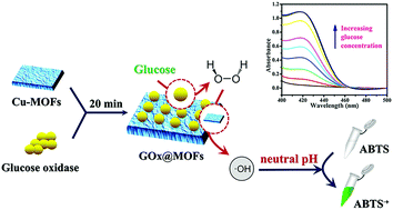 Graphical abstract: One-step cascade detection of glucose at neutral pH based on oxidase-integrated copper(ii) metal–organic framework composites
