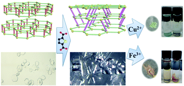 Graphical abstract: A three-dimensional metal–organic framework with high performance of dual cation sensing synthesized via single-crystal transformation
