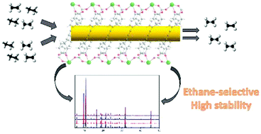 Graphical abstract: Separation of ethane and ethylene by a robust ethane-selective calcium-based metal–organic framework