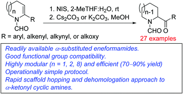 Graphical abstract: Skeletal remodelling of α-substituted cyclic eneformamides to α-ketonyl cyclic amines