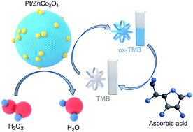 Graphical abstract: Rapid colorimetric sensing of ascorbic acid based on the excellent peroxidase-like activity of Pt deposited on ZnCo2O4 spheres