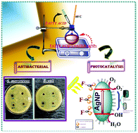 Graphical abstract: Nanoformulation of C-18 long fatty acid-capped silver nanoparticles with exploration of photocatalytic and antibacterial activities