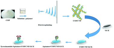 Graphical abstract: Facile synthesis of a covalent organic framework (COF) based on the reaction of melamine and trimesic acid incorporated electrospun nanofiber and its application as an electrochemical tyrosinamide aptasensor