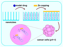 Graphical abstract: Zn capped Al2O3 and TiO2 nanoporous arrays as pH sensitive drug delivery systems: a combined experimental and simulation study
