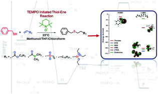 Graphical abstract: Computational and experimental approach to evaluate the effect of initiator concentration, solvents, and enes on the TEMPO driven thiol–ene reaction