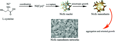 Graphical abstract: Biomolecule-assisted synthesis of porous network-like Ni3S2 nanoarchitectures assembled with ultrathin nanosheets as integrated negative electrodes for high-performance lithium storage