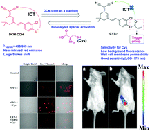 Graphical abstract: A new chloro-substituted dicyanoisophorone-based near-infrared fluorophore with a larger Stokes shift and its application for detecting cysteine in cells and in vivo