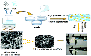 Graphical abstract: Fabrication and characterization of polylactic acid/polycaprolactone composite macroporous micro-nanofiber scaffolds by phase separation