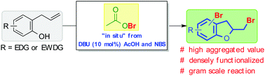 Graphical abstract: Synthesis of 2-bromomethyl-2,3-dihydrobenzofurans from 2-allylphenols enabled by organocatalytic activation of N-bromosuccinimide