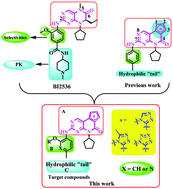 Graphical abstract: Design, synthesis and biological evaluation of novel pteridinone derivatives as potent dual inhibitors of PLK1 and BRD4