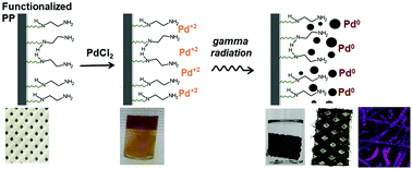 Graphical abstract: Gamma radiation-assisted in situ synthesis of palladium nanoparticles supported on ethylenediamine-functionalized polypropylene fabric as an efficient catalyst for reduction of 4-nitrophenol