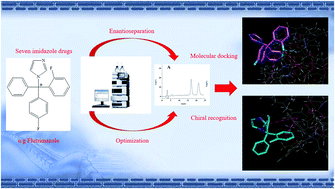 Graphical abstract: Enantiomeric separation and molecular docking study of seven imidazole antifungal drugs on a cellulose tris-(3,5-dimethylphenylcarbamate) chiral stationary phase