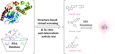 Graphical abstract: The structure-based virtual screening of non-benzofuran inhibitors against M. tuberculosis Pks13-TE for anti-tuberculosis phenotypic discovery