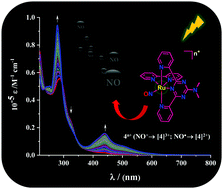 Graphical abstract: Ruthenium nitrosyl complexes with the molecular framework [RuII(dmdptz)(bpy)(NO)]n+ (dmdptz: N,N-dimethyl-4,6-di(pyridin-2-yl)-1,3,5-triazin-2-amine and bpy: 2,2′-bipyridine). Electronic structure, reactivity aspects, photorelease, and scavenging of NO
