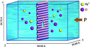 Graphical abstract: Insights into water permeability and Hg2+ removal using two-dimensional nanoporous boron nitride