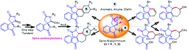 Graphical abstract: Aza-heterocyclic frameworks through intramolecular π-system trapping of spiro-N-acyliminiums generated from isoindolinone