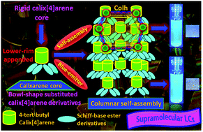 Graphical abstract: Columnar self-assembly, electrochemical and luminescence properties of basket-shaped liquid crystalline derivatives of Schiff-base-moulded p-tert-butyl-calix[4]arene