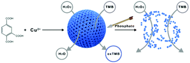Graphical abstract: Colorimetric assay for the sensitive detection of phosphate in water based on metal–organic framework nanospheres possessing catalytic activity
