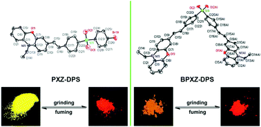 Graphical abstract: D–A type luminophores with a twisted molecular conformation constructed by phenoxazine and diphenylsulfone showing high contrast mechanofluorochromism