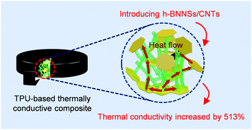 Graphical abstract: Increasing heat transfer performance of thermoplastic polyurethane by constructing thermal conduction channels of ultra-thin boron nitride nanosheets and carbon nanotubes