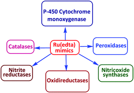 Graphical abstract: Chemistry of Ru(edta) complexes relevant to oxidoreductase mimicking: a personal perspective