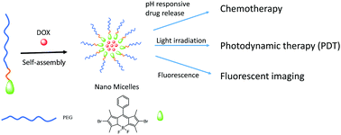 Graphical abstract: A PEGylated photosensitizer-core pH-responsive polymeric nanocarrier for imaging-guided combination chemotherapy and photodynamic therapy