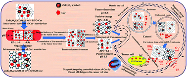 Graphical abstract: The ZnFe2O4@mZnO–N/RGO nano-composite as a carrier and an intelligent releaser drug with dual pH- and ultrasound-triggered control