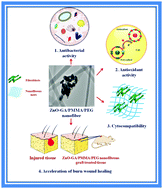 Graphical abstract: Electrospinning nanofibrous graft preparation and wound healing studies using ZnO nanoparticles and glucosamine loaded with poly(methyl methacrylate)/polyethylene glycol