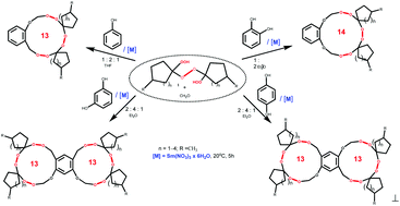 Graphical abstract: Catalytic synthesis of benzannelated macrocyclic di- and triperoxides based on phenols