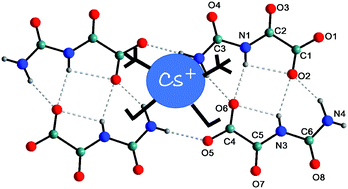 Graphical abstract: Stabilization of caesium ions by simple organic molecules: crystal structures of Cs(OXL) (OXL = oxalurate anion) and the CsOH/cyanuric acid co-crystal Cs3(CYH3)4(OH)3 (CYH3 = cyanuric acid)